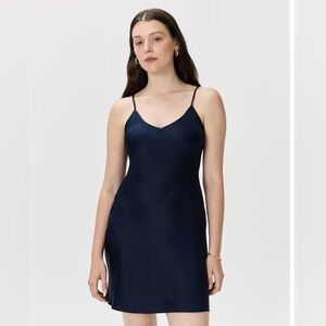 Quince 100% Washable Silk Mini Dress EUC